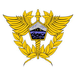 bea cukai transparent